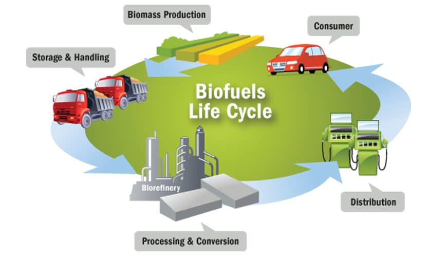 how are bio fuels found