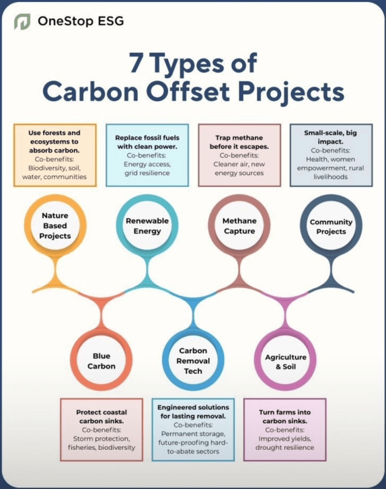 Market Nuances of Carbon Markets ‣ TradersQue