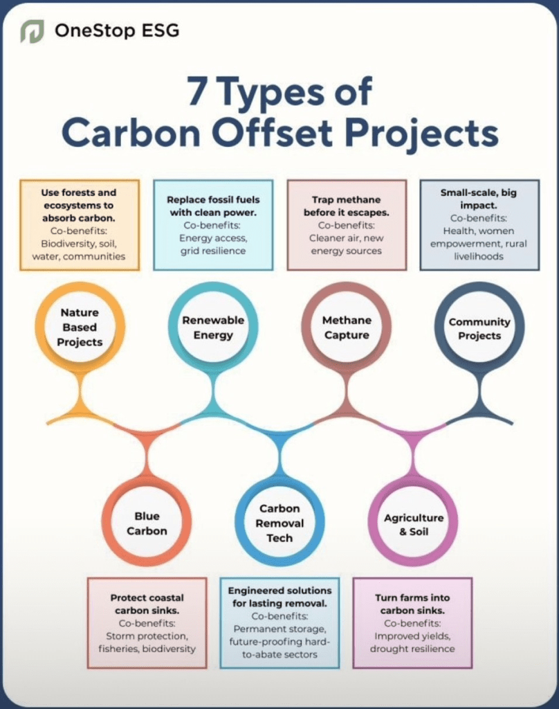 Types of Carbon Offsets Infographic showing seven carbon offset project types including forests, renewables, methane capture, and soil solutions.