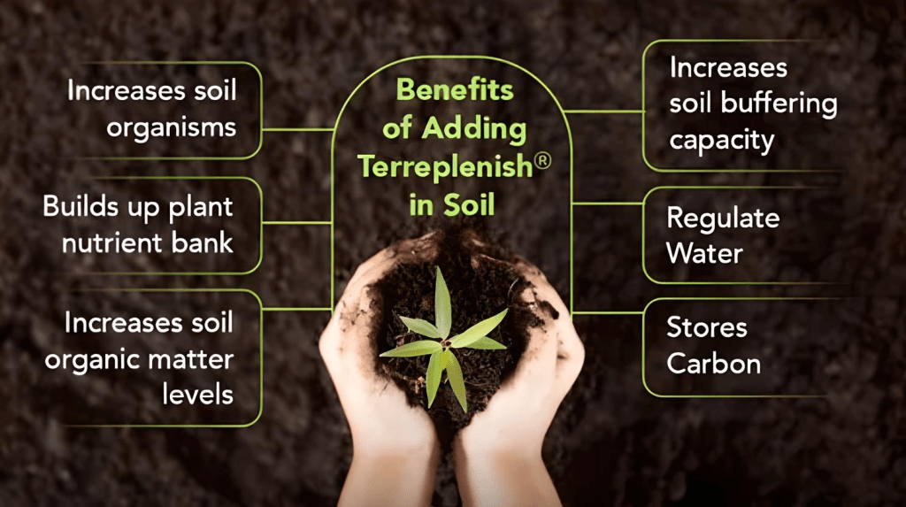 Benefits of Adding Terreplenish® in Soil Hands holding soil with a small plant, highlighting the benefits of Terreplenish® for soil health.